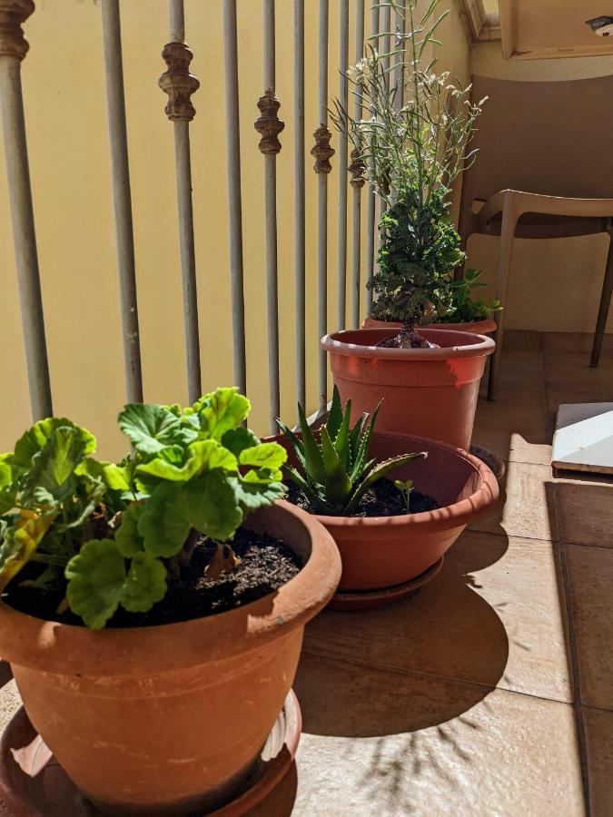 B&B A Casa Di Angela Trapani Eksteriør bilde